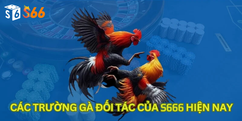 Các trường gà đối tác của S6666 hiện nay