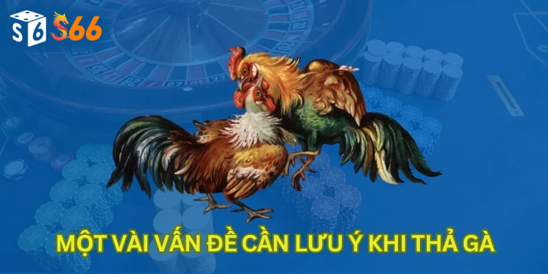 Một vài vấn đề cần lưu ý khi thả gà